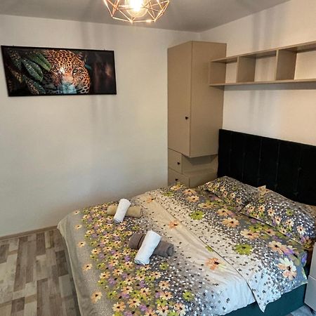 Select Apartament Bvd Stefan Cel Mare Iasi Exteriör bild